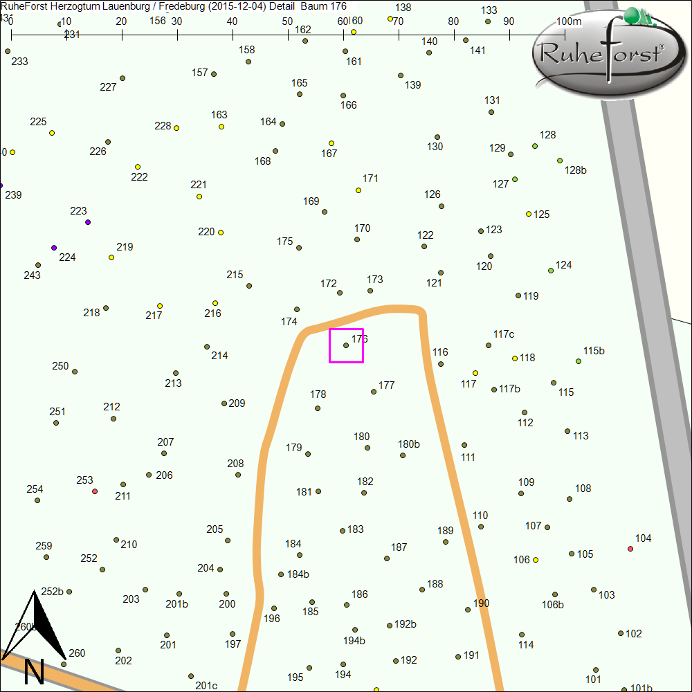 Detailkarte zu Baum 176