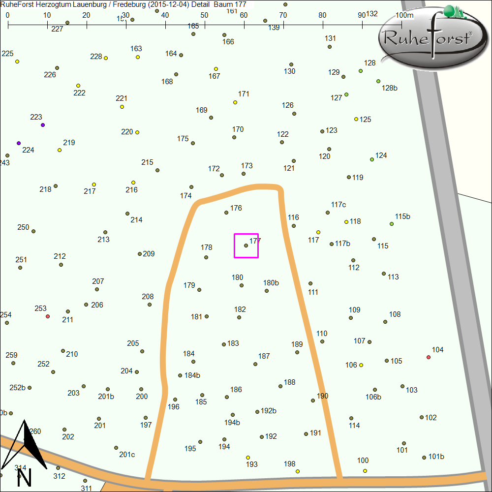 Detailkarte zu Baum 177