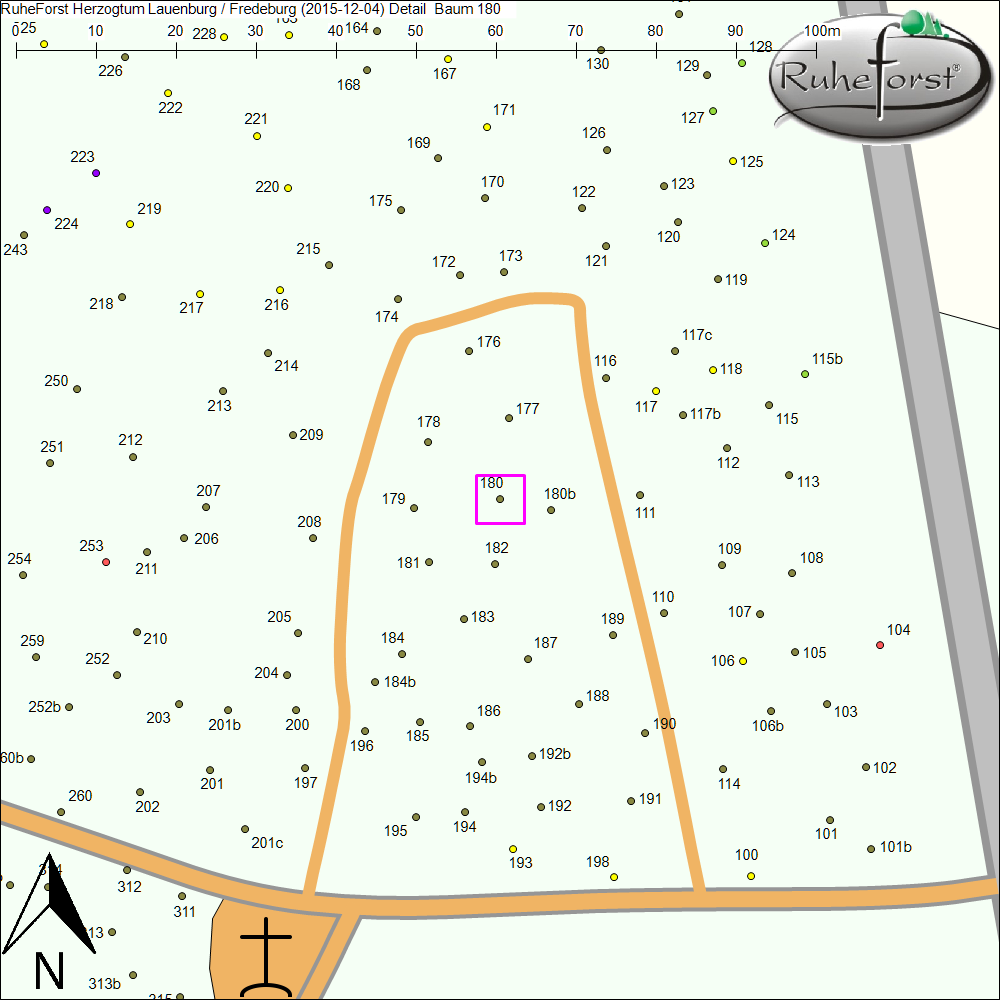 Detailkarte zu Baum 180