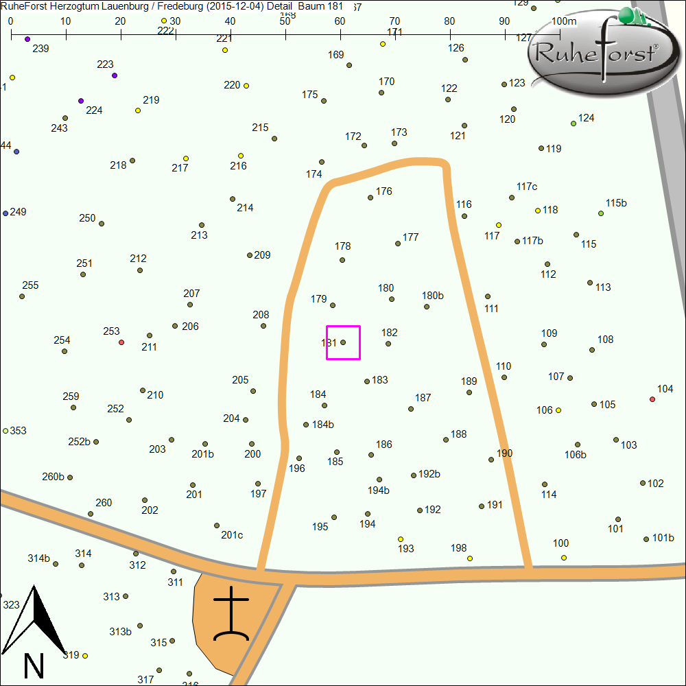 Detailkarte zu Baum 181