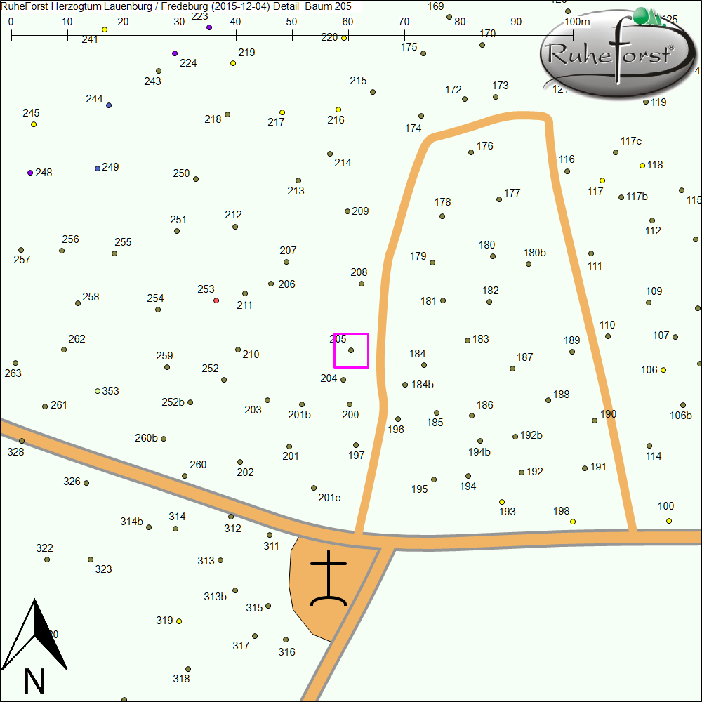 Detailkarte zu Baum 205