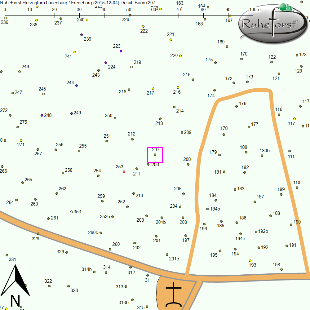 Detailkarte zu Baum 207