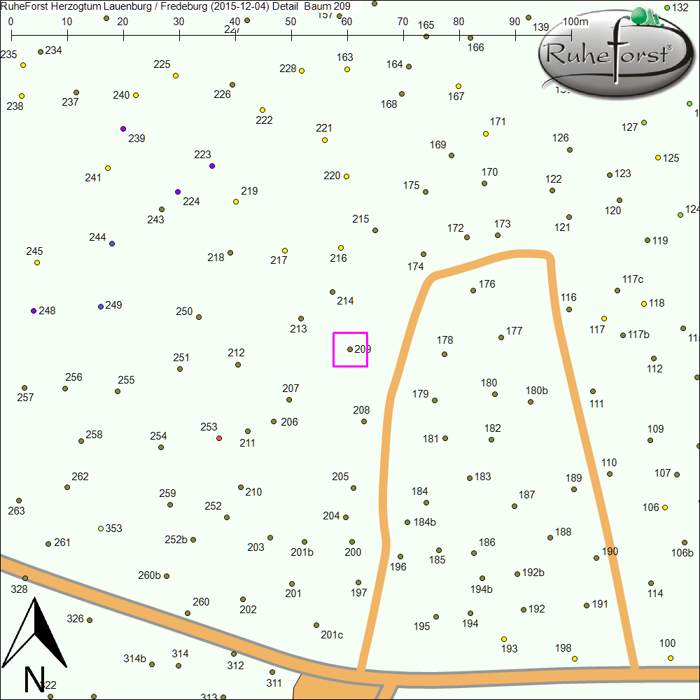 Detailkarte zu Baum 209