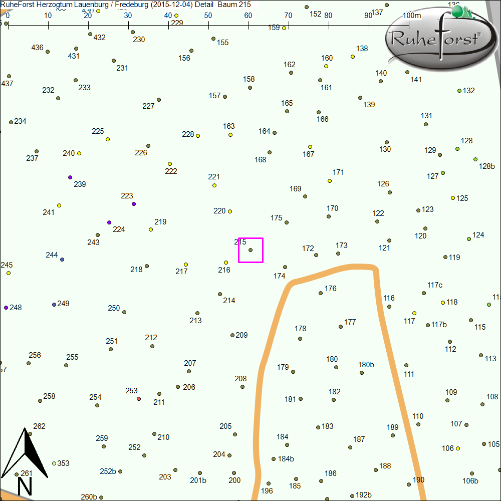 Detailkarte zu Baum 215