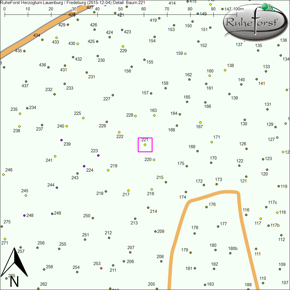 Detailkarte zu Baum 221
