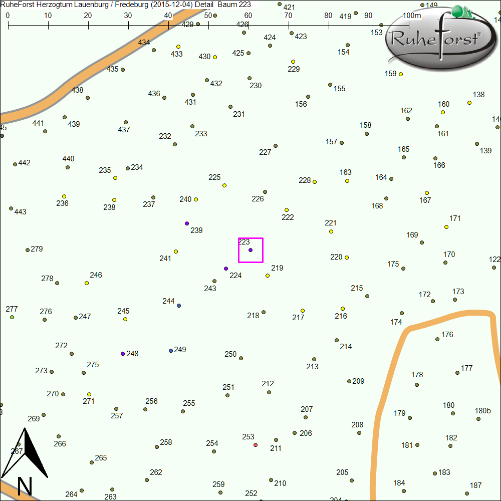 Detailkarte zu Baum 223