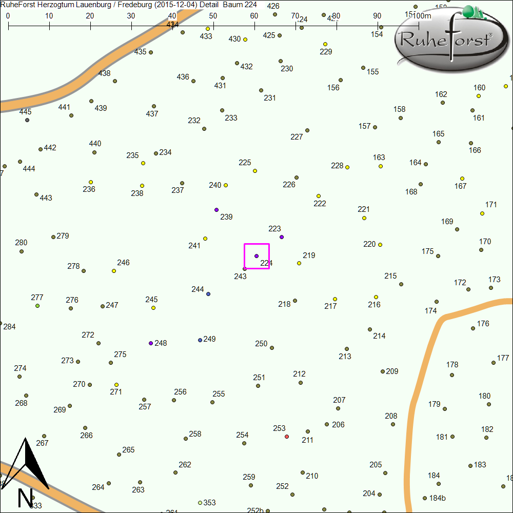 Detailkarte zu Baum 224