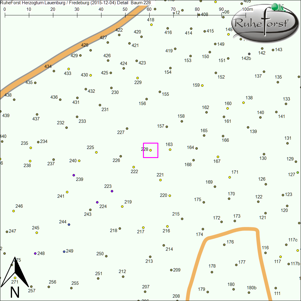 Detailkarte zu Baum 228