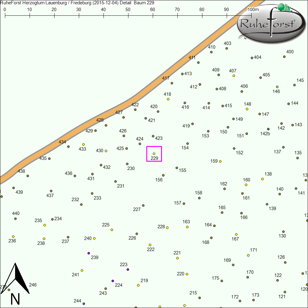 Detailkarte zu Baum 229