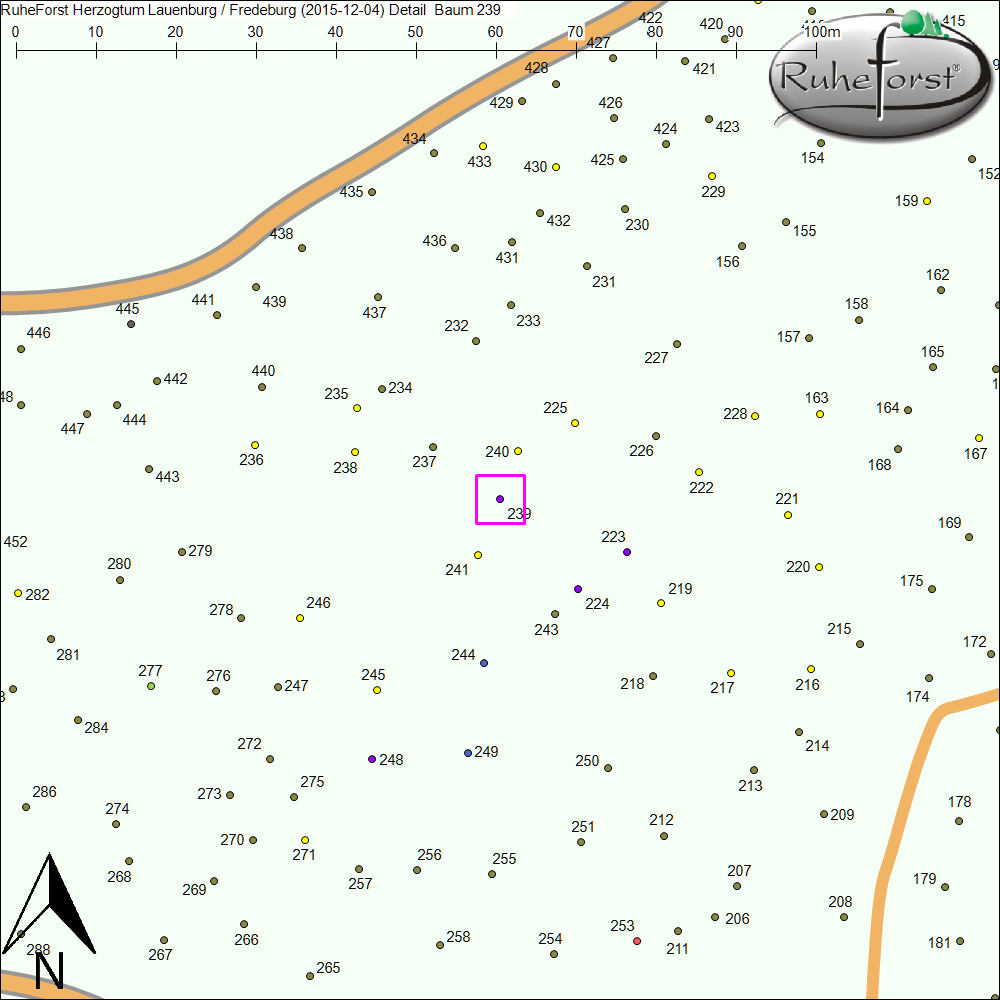 Detailkarte zu Baum 239
