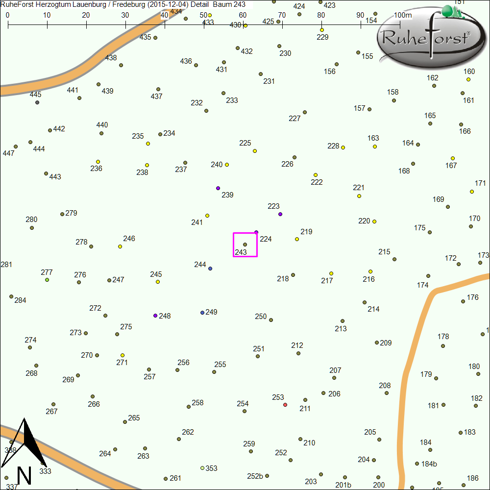 Detailkarte zu Baum 243