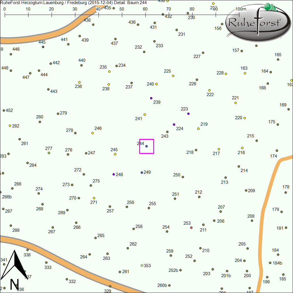 Detailkarte zu Baum 244