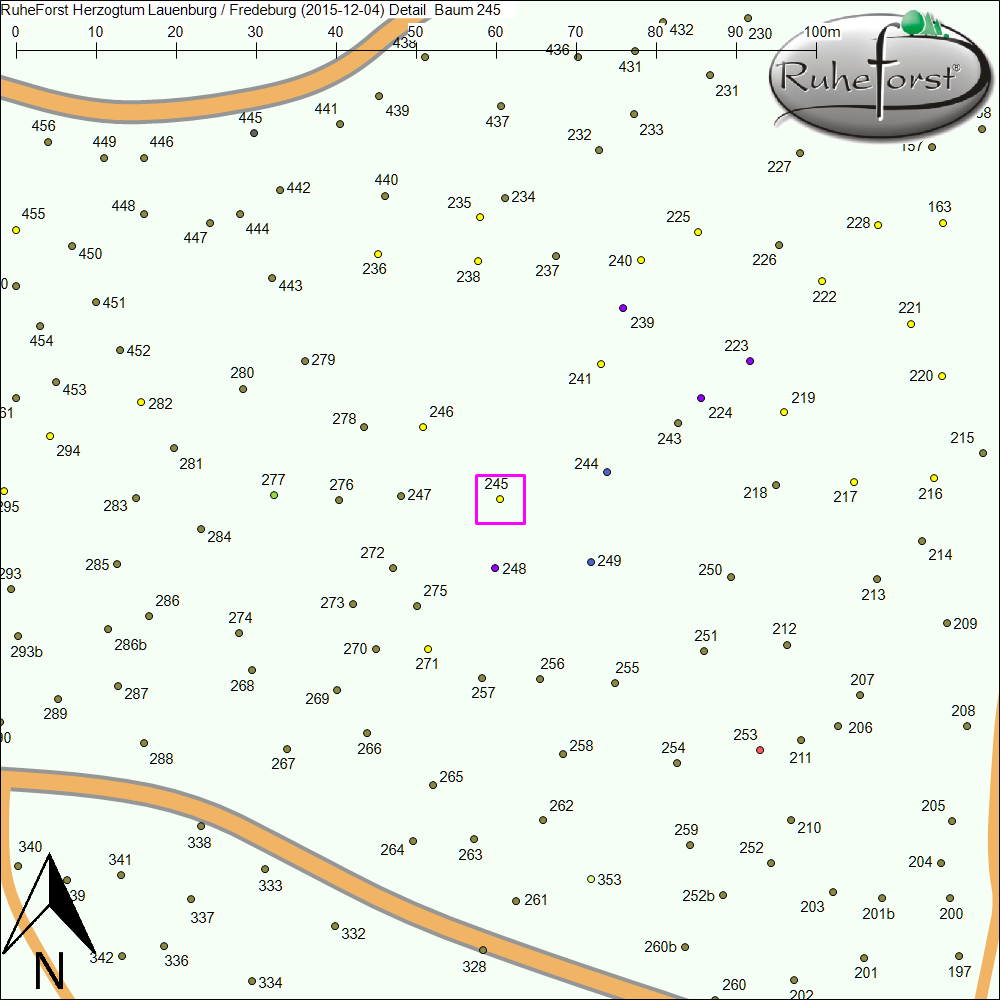 Detailkarte zu Baum 245
