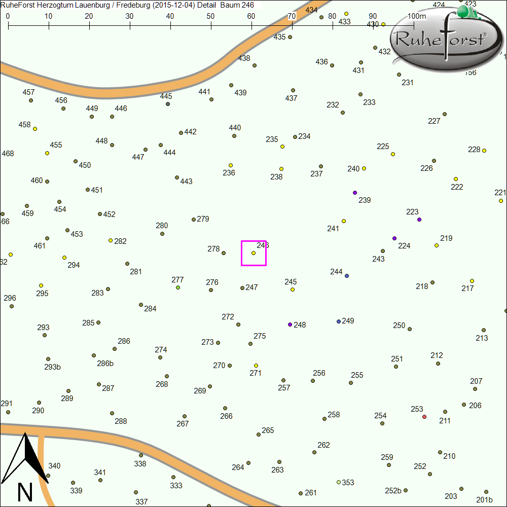 Detailkarte zu Baum 246