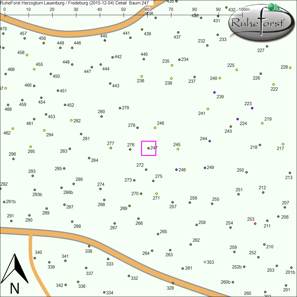 Detailkarte zu Baum 247
