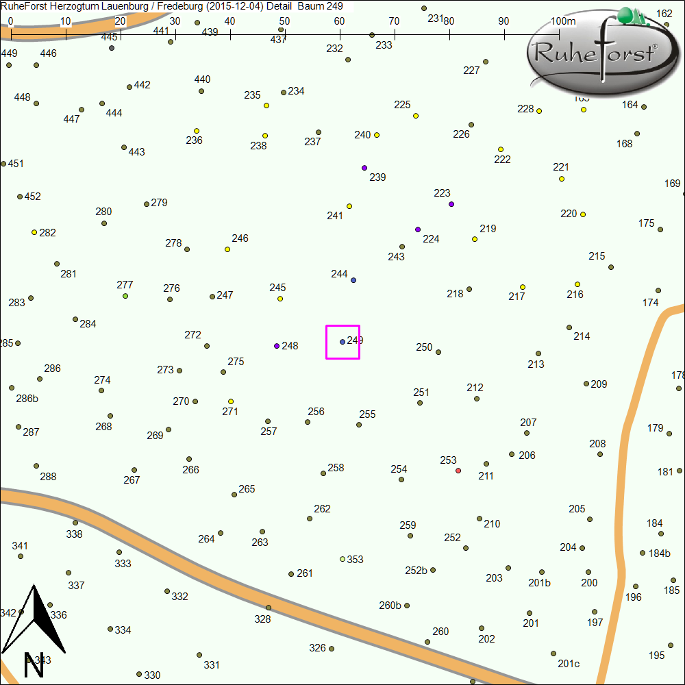 Detailkarte zu Baum 249
