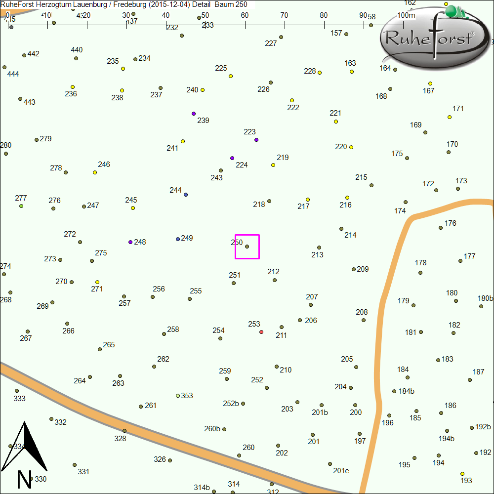 Detailkarte zu Baum 250