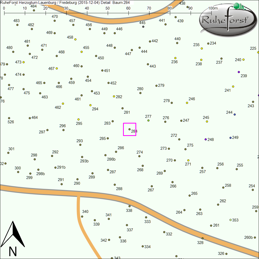 Detailkarte zu Baum 284
