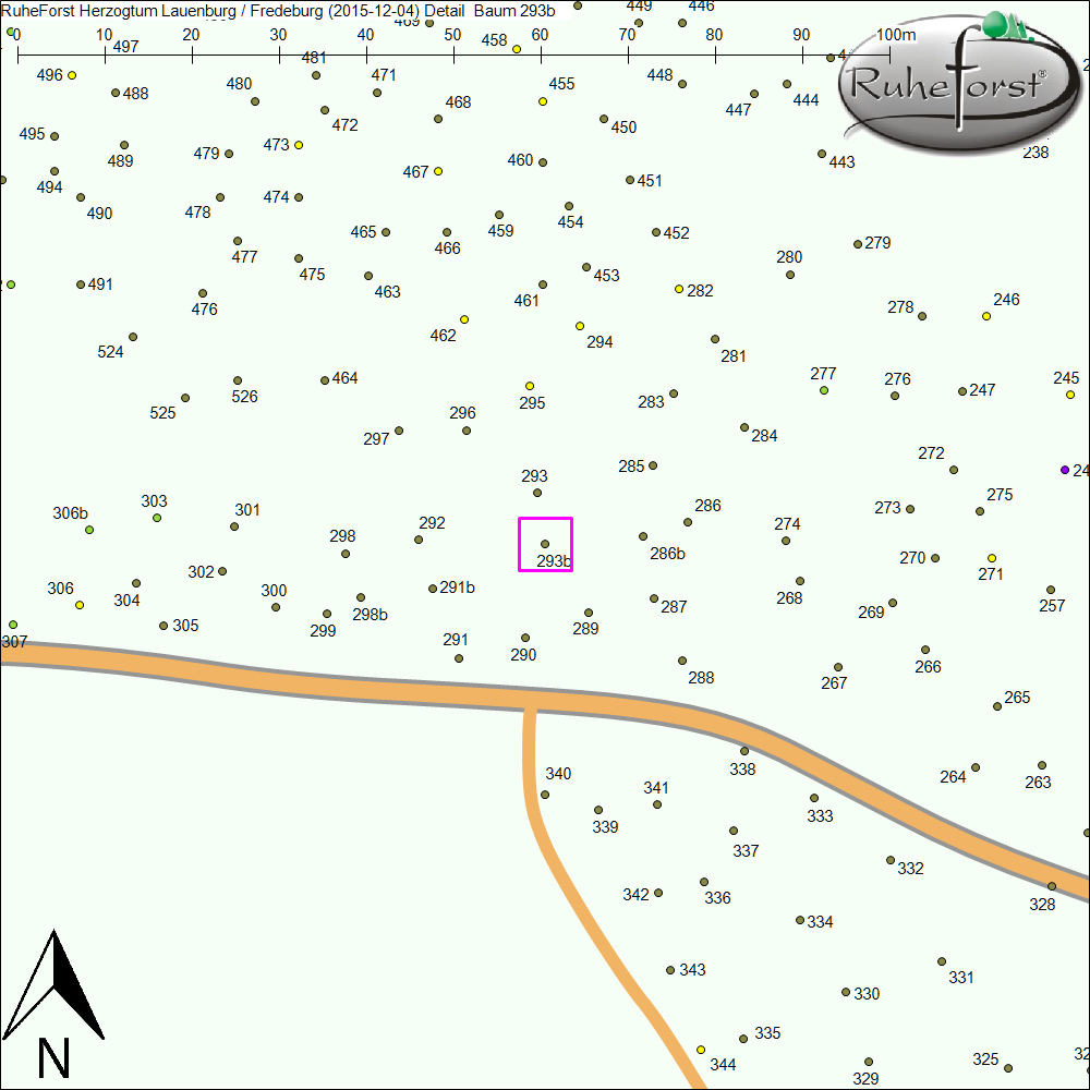 Detailkarte zu Baum 293b
