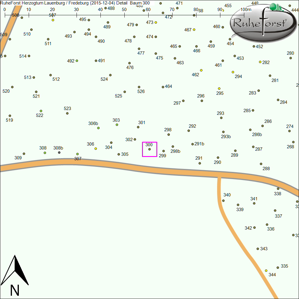 Detailkarte zu Baum 300