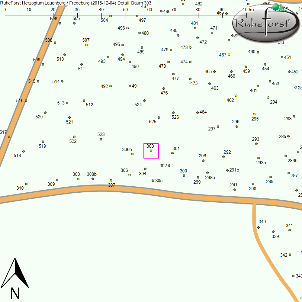 Detailkarte zu Baum 303