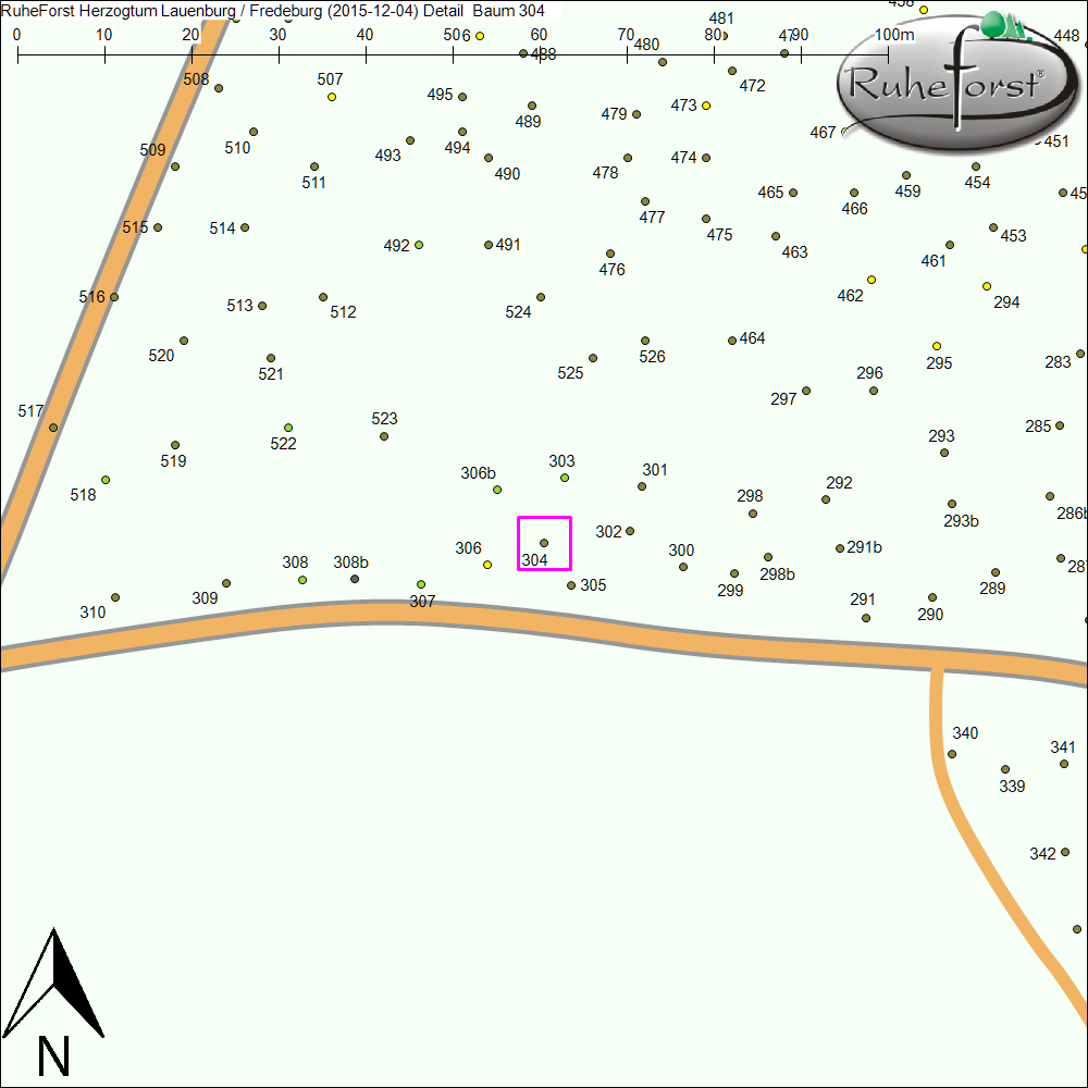Detailkarte zu Baum 304