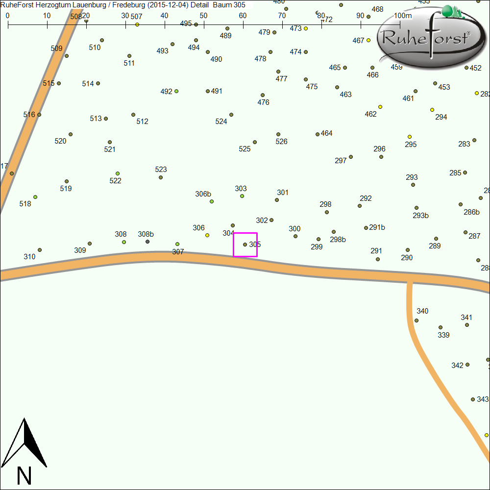 Detailkarte zu Baum 305