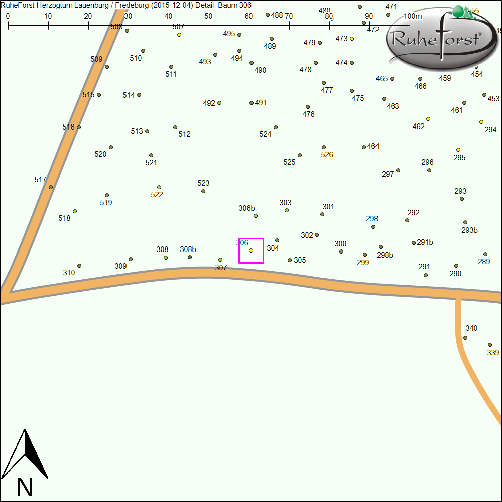 Detailkarte zu Baum 306