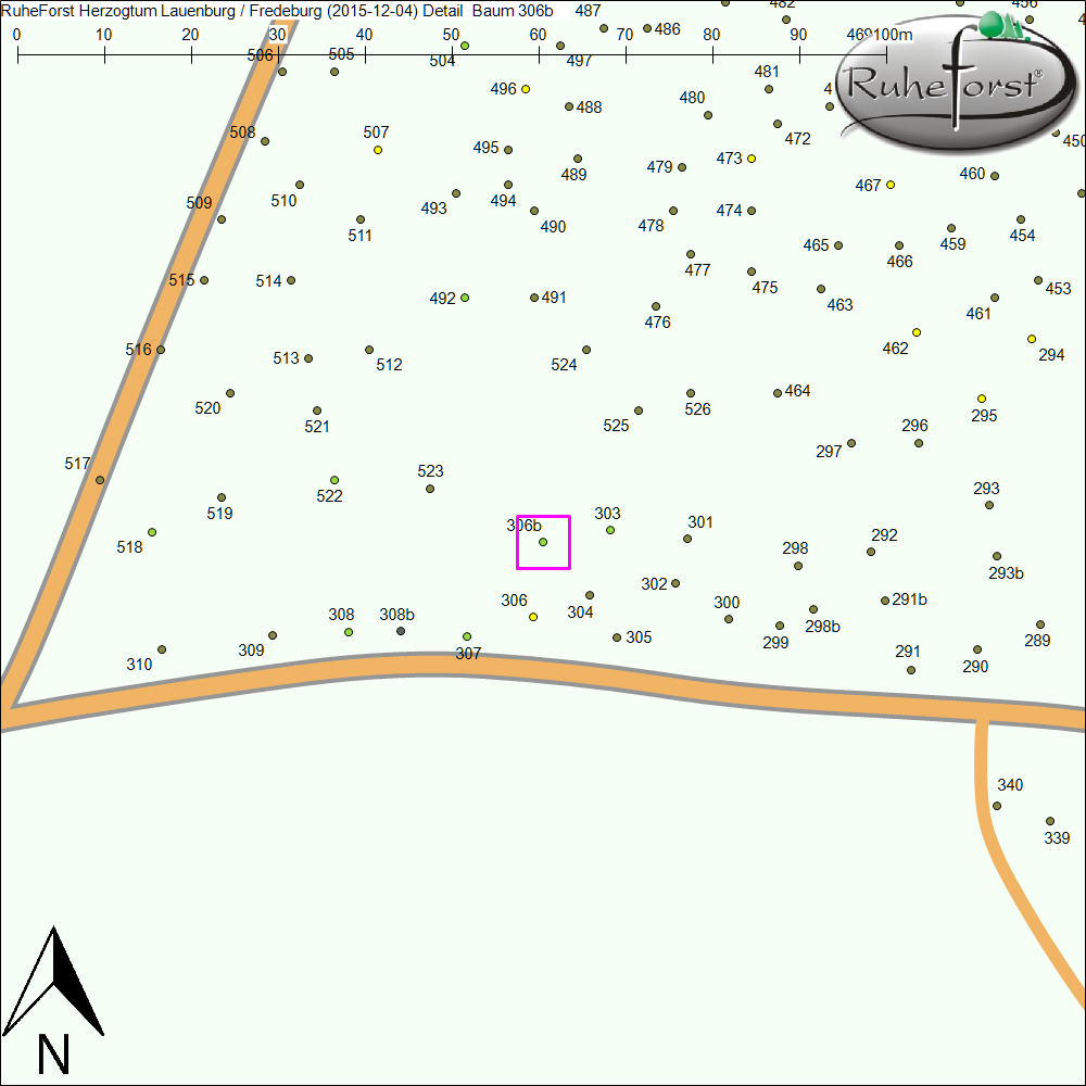 Detailkarte zu Baum 306b
