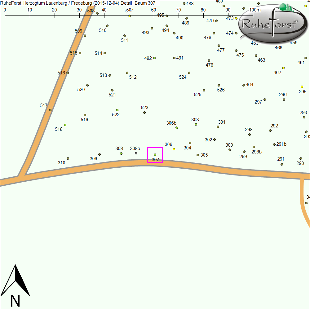 Detailkarte zu Baum 307