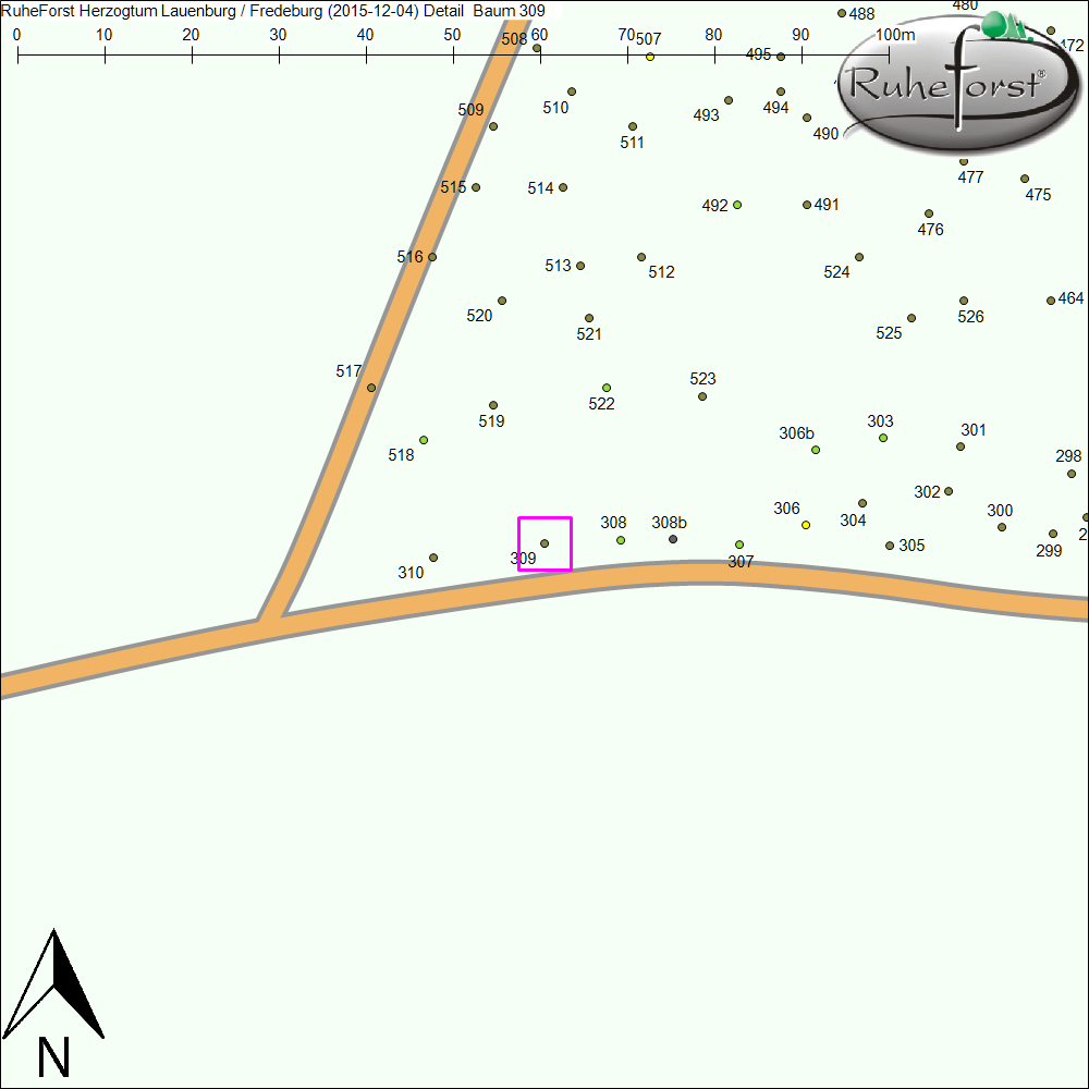 Detailkarte zu Baum 309