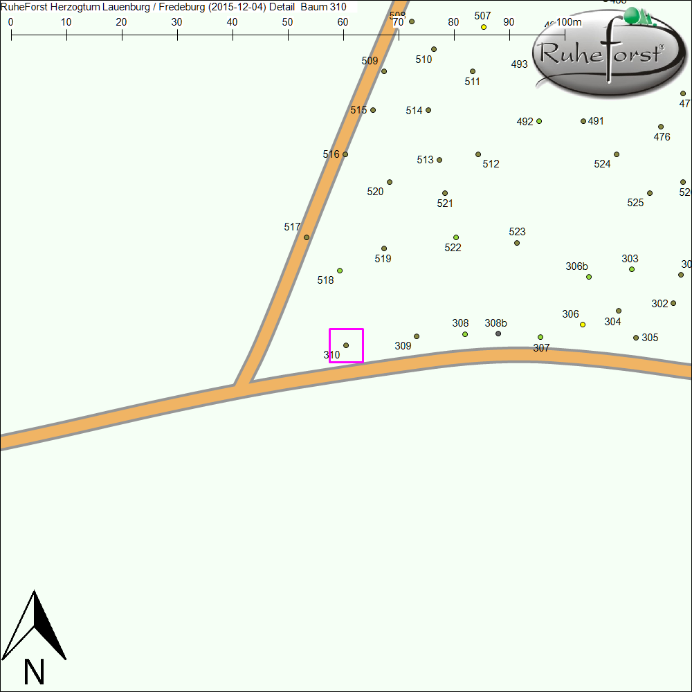 Detailkarte zu Baum 310