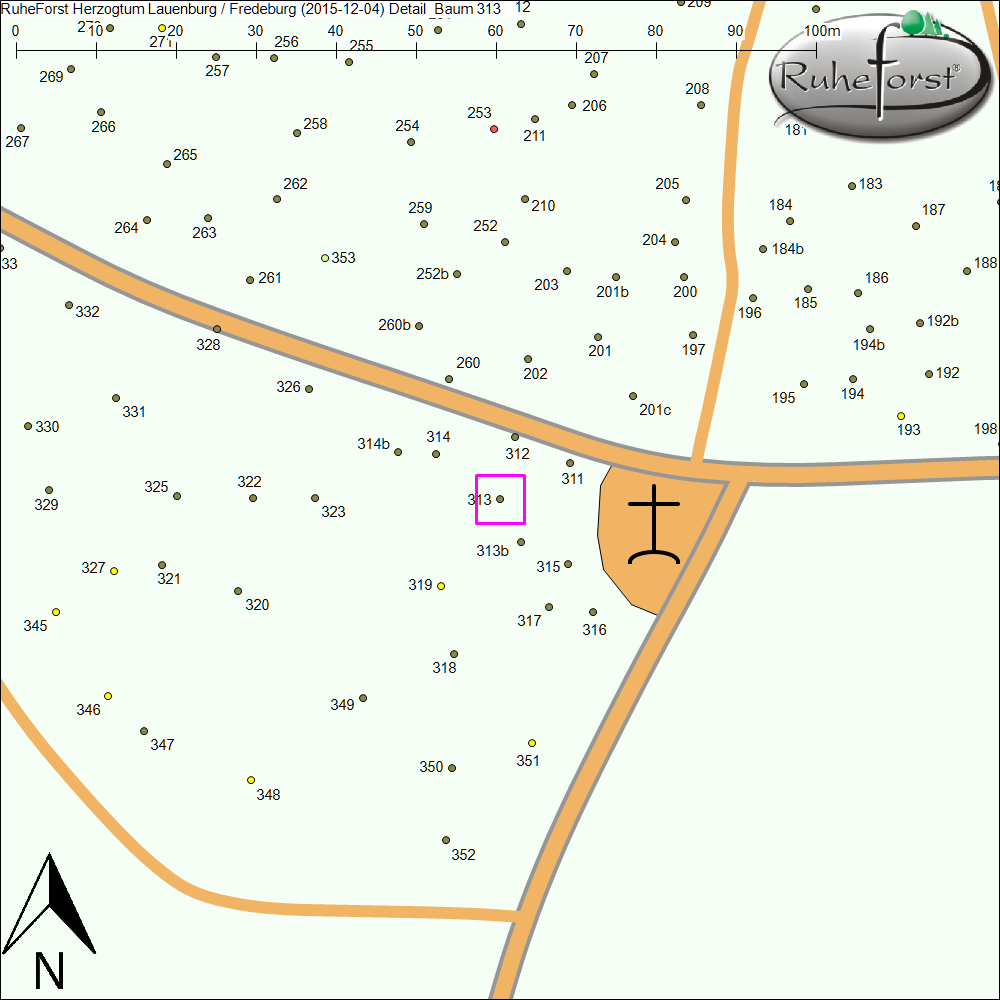 Detailkarte zu Baum 313