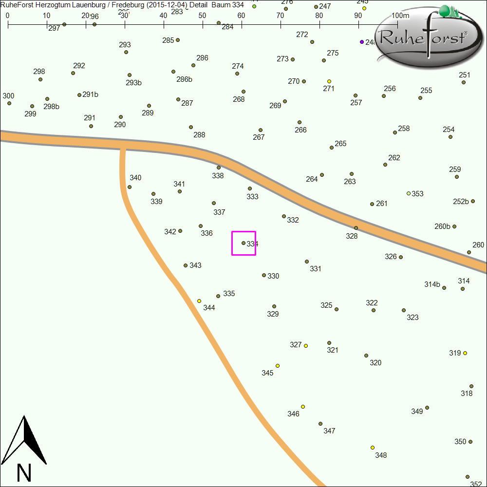 Detailkarte zu Baum 334