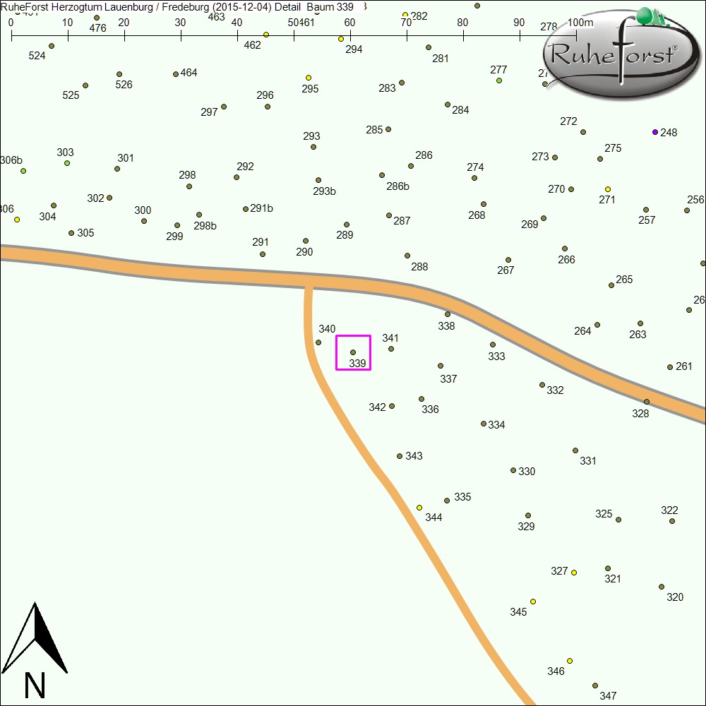 Detailkarte zu Baum 339
