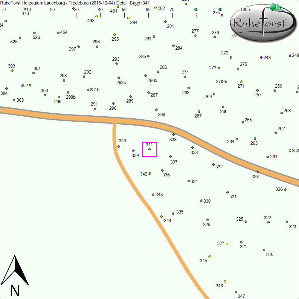 Detailkarte zu Baum 341