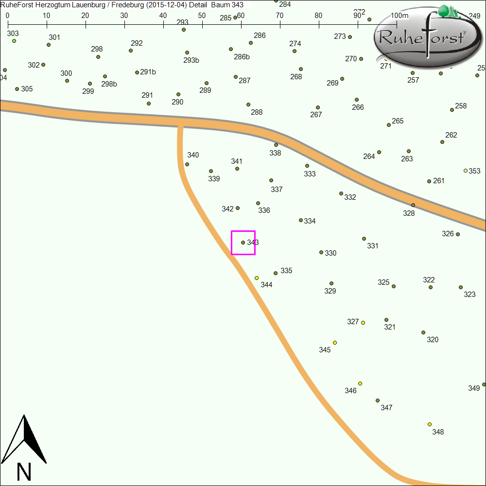 Detailkarte zu Baum 343