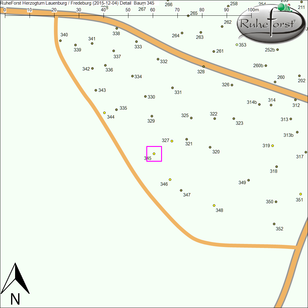 Detailkarte zu Baum 345