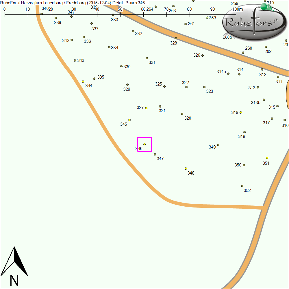 Detailkarte zu Baum 346