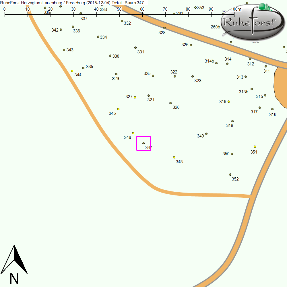Detailkarte zu Baum 347