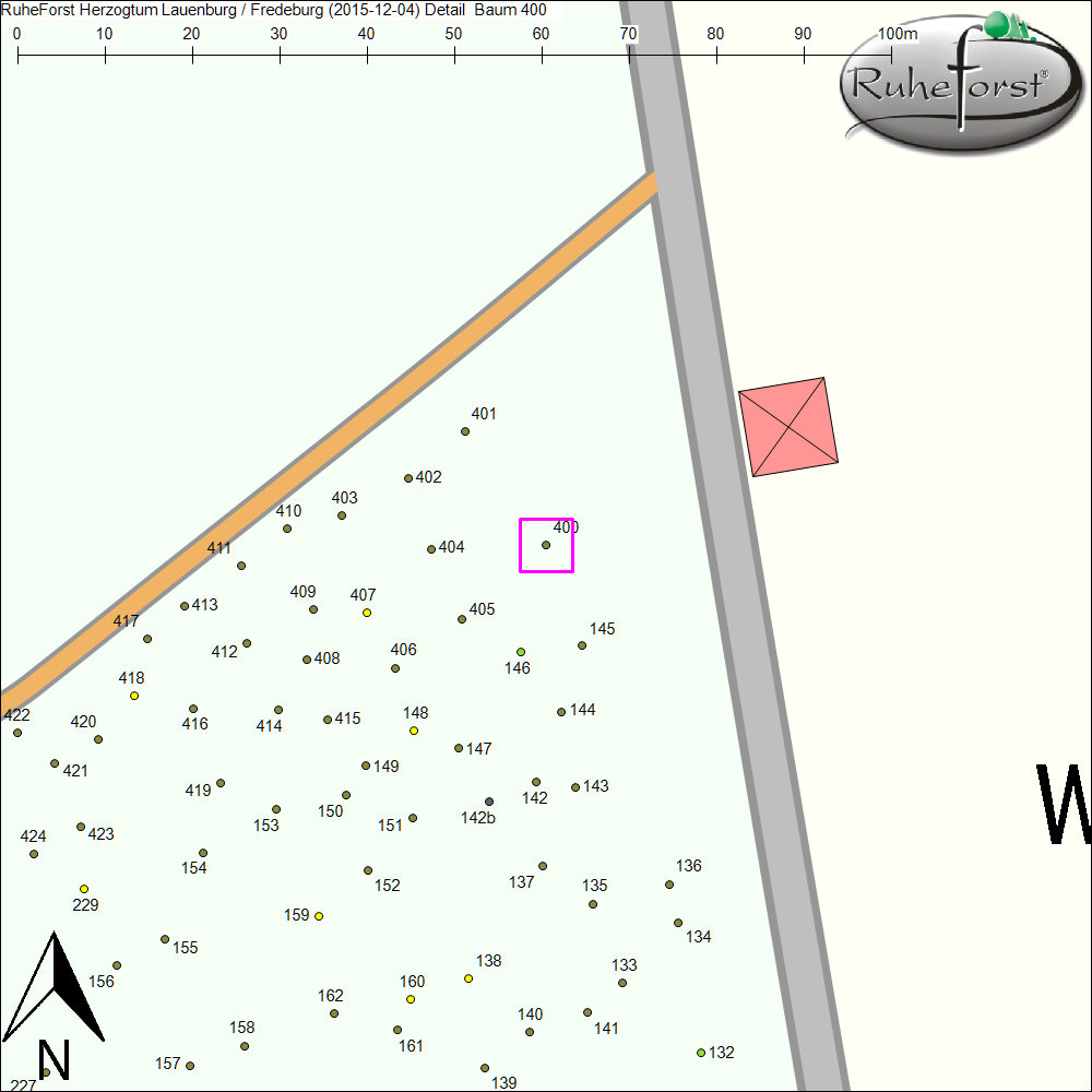 Detailkarte zu Baum 400