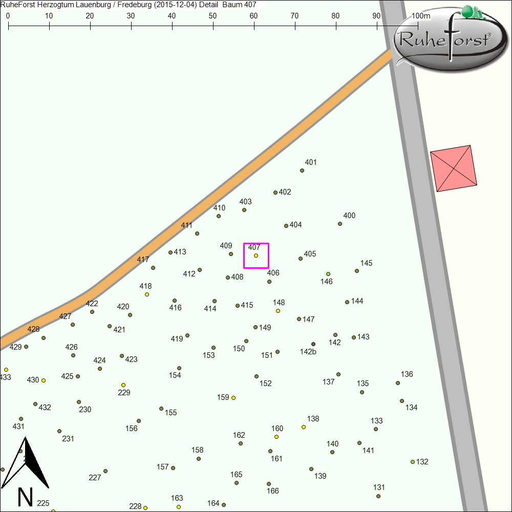 Detailkarte zu Baum 407
