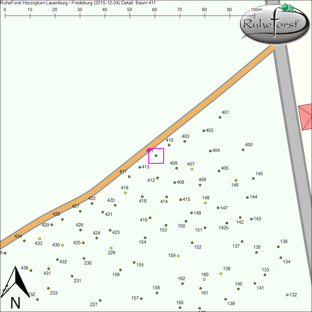 Detailkarte zu Baum 411