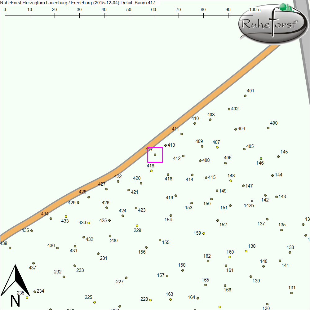 Detailkarte zu Baum 417