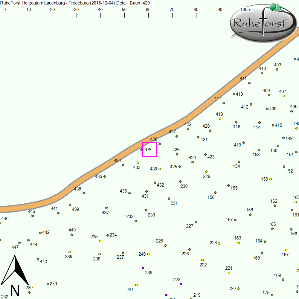 Detailkarte zu Baum 429