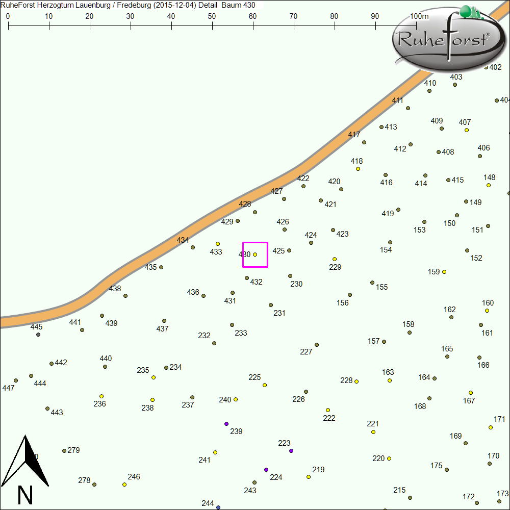 Detailkarte zu Baum 430