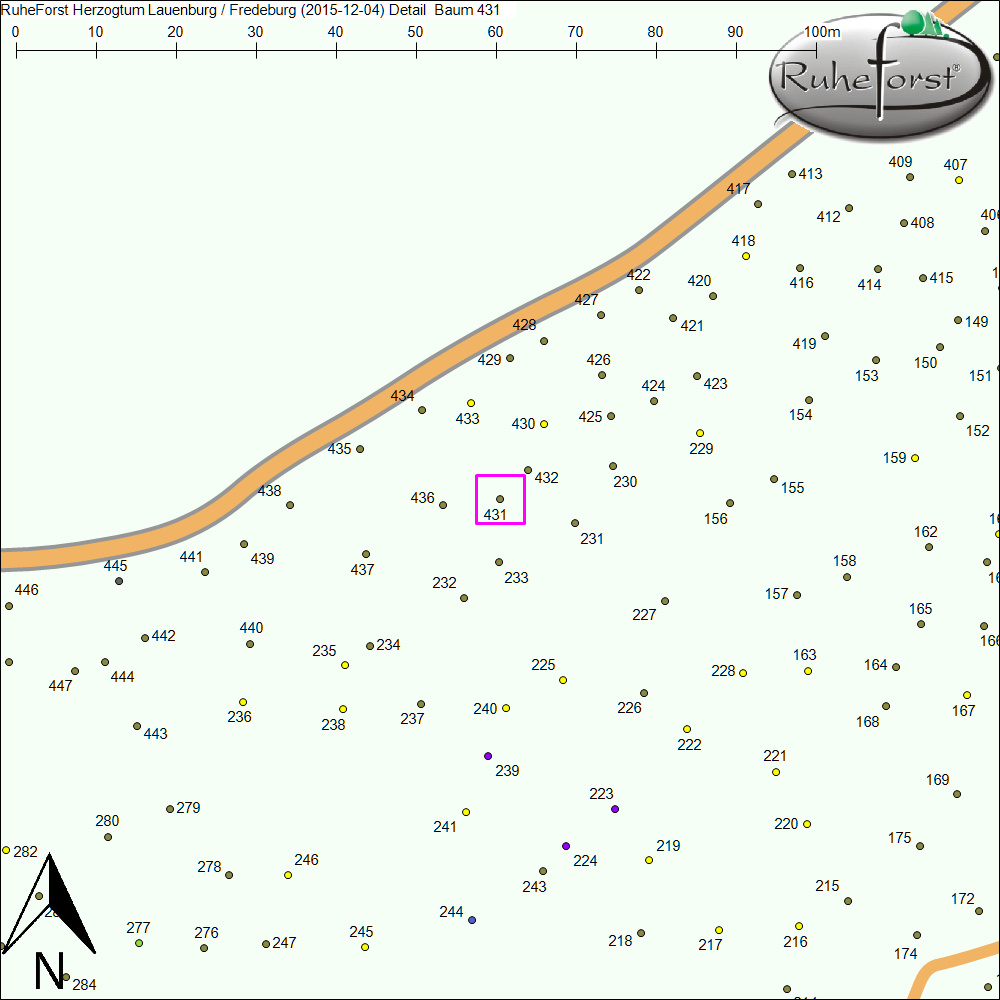 Detailkarte zu Baum 431