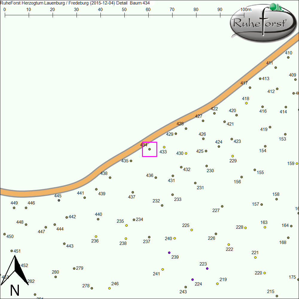 Detailkarte zu Baum 434