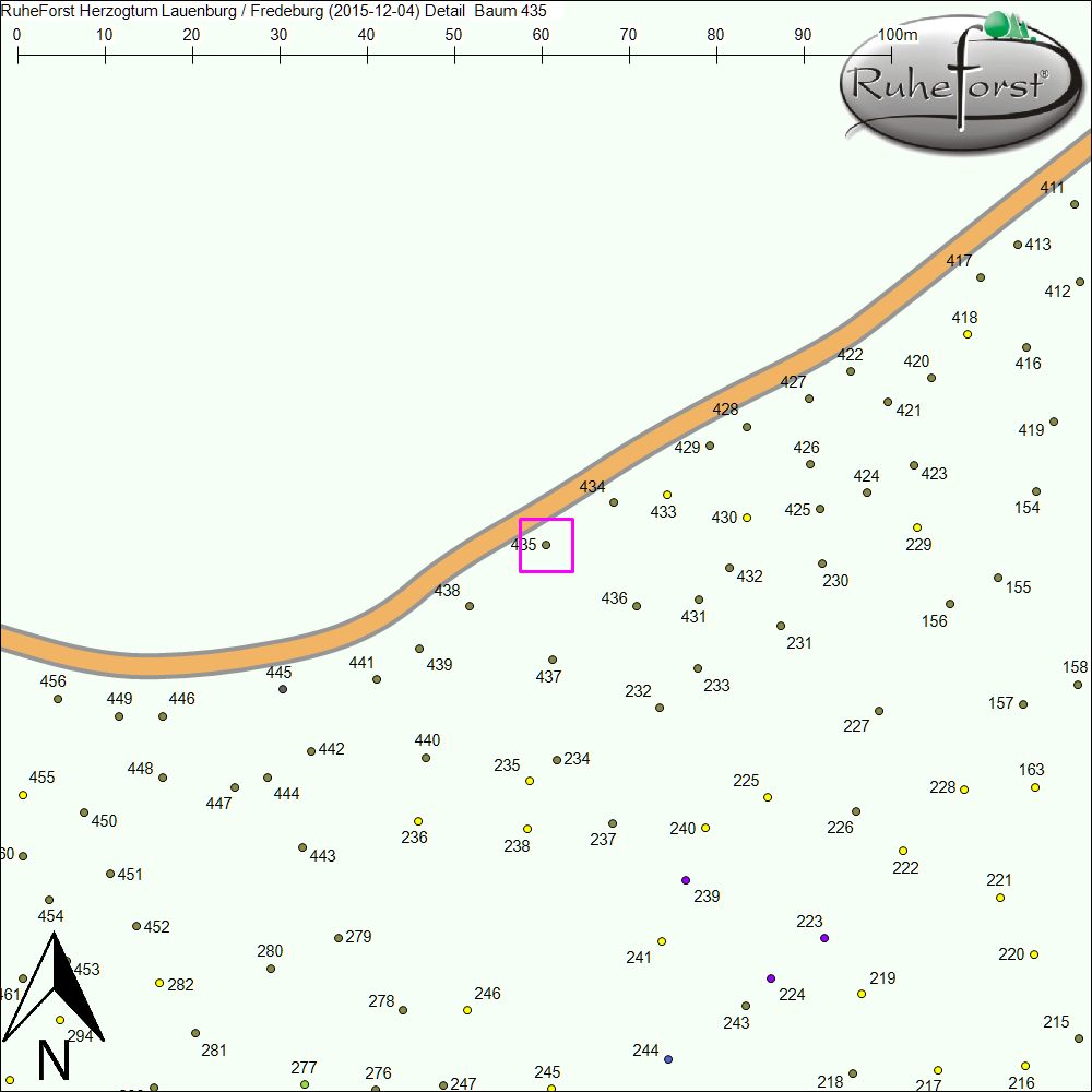 Detailkarte zu Baum 435