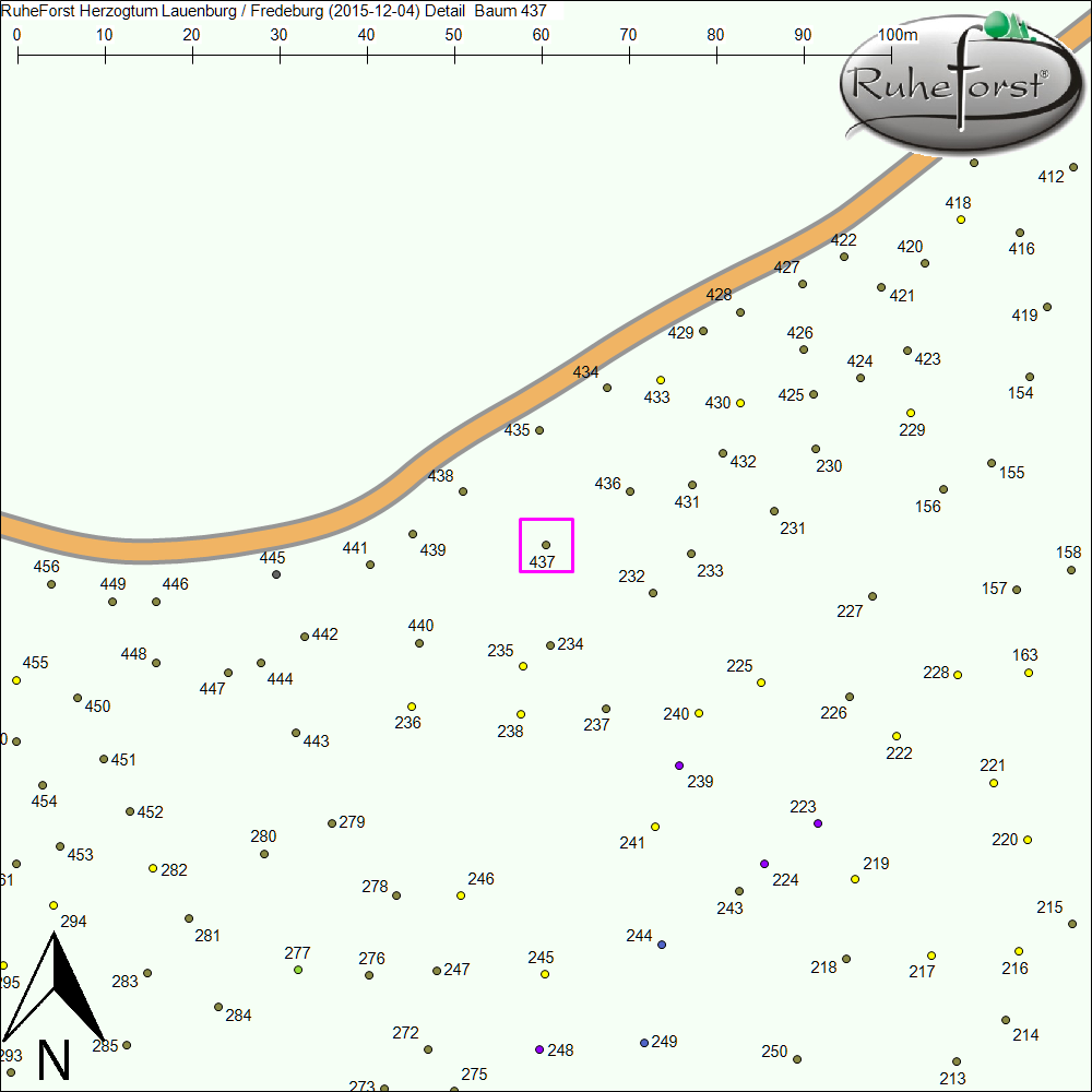 Detailkarte zu Baum 437